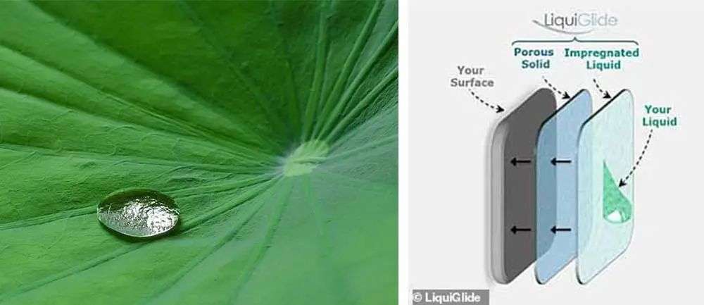 再也不用「擠牙膏」，高露潔換上的「潤滑劑」包裝，讓牙膏從此一滴不剩